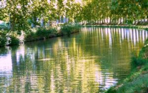 Chasseur immobilier Agde Canal du Midi