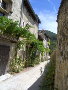 DETECTIMMOBILIER® chasseur immobilier Drôme Provençale