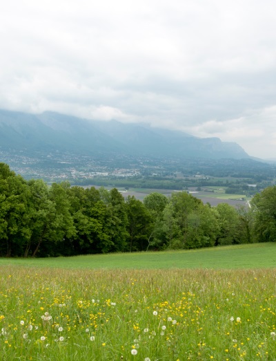 Pourquoi faire appel à un chasseur d'appartement à Grenoble ?