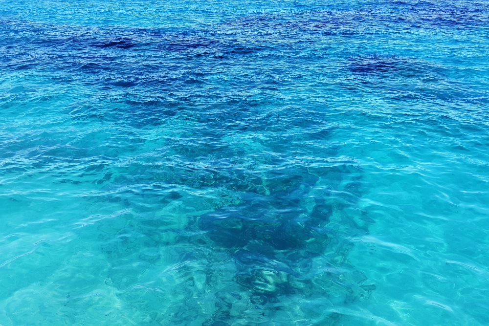 Chasseur de biens immobiliers sur le Golfe du Lion