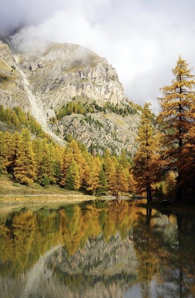 Pourquoi faire appel à un chasseur immobilier dans les Hautes-Alpes (05) ?