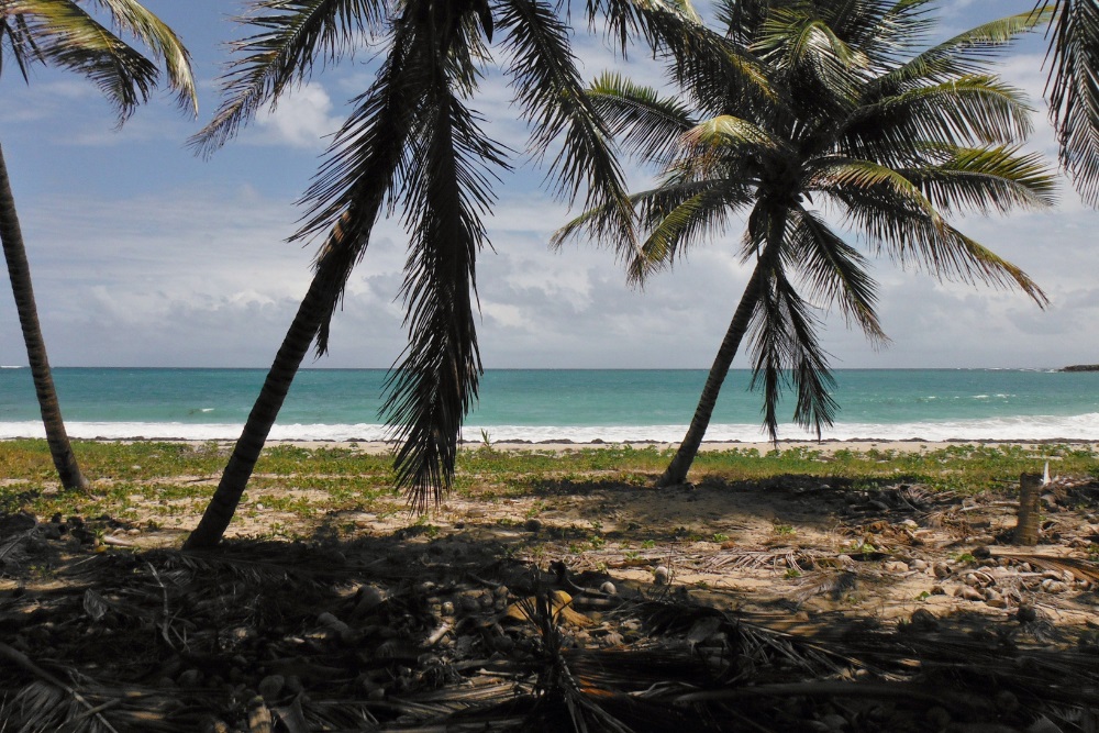 Chasseur de biens en Martinique pour votre recherche immobilière sur mesure